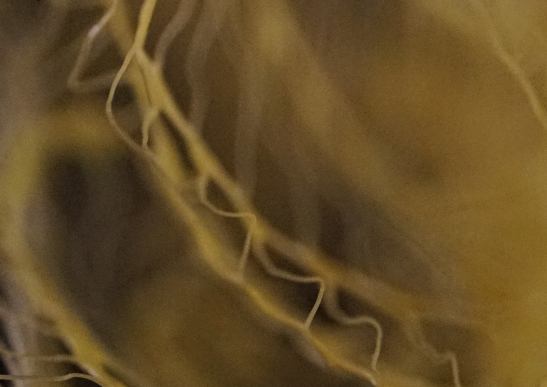 Texture dorée, trame fine